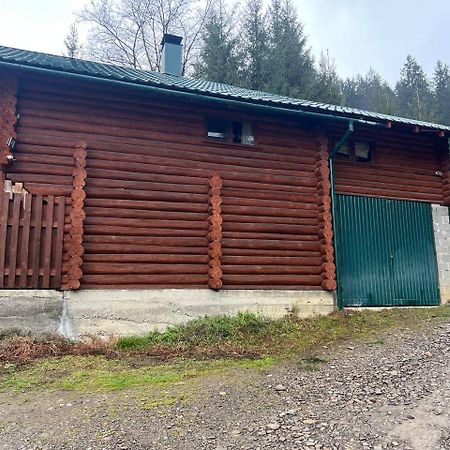 Hostel Farmstead Lisova Mizhhirya  Zewnętrze zdjęcie