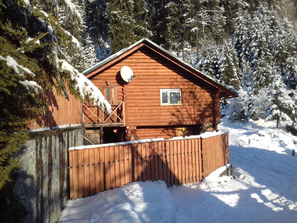 Hostel Farmstead Lisova Mizhhirya  Zewnętrze zdjęcie